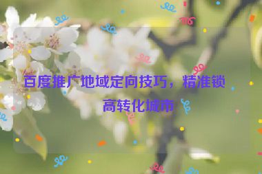 百度推廣地域定向技巧，精準(zhǔn)鎖定高轉(zhuǎn)化城市