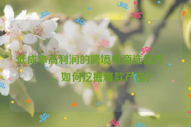 低成本高利潤的跨境電商選品方法，如何挖掘爆款產(chǎn)品？