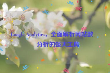 Google Analytics，全面解析網(wǎng)站數(shù)據(jù)分析的強(qiáng)大工具
