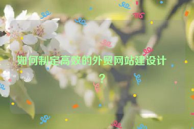 如何制定高效的外貿網(wǎng)站建設計劃？