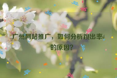 廣州網(wǎng)站推廣，如何分析跳出率高的原因？