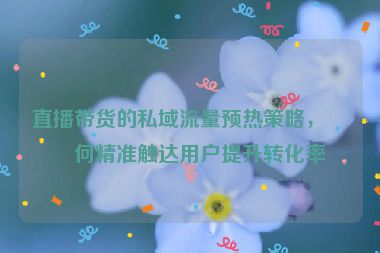 直播帶貨的私域流量預熱策略，如何精準觸達用戶提升轉(zhuǎn)化率