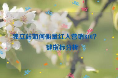 獨(dú)立站如何衡量紅人營(yíng)銷ROI？關(guān)鍵指標(biāo)分析
