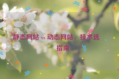 靜態(tài)網(wǎng)站 vs 動態(tài)網(wǎng)站，技術(shù)選型指南