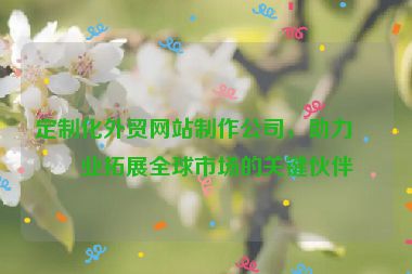 定制化外貿(mào)網(wǎng)站制作公司，助力企業(yè)拓展全球市場的關(guān)鍵伙伴
