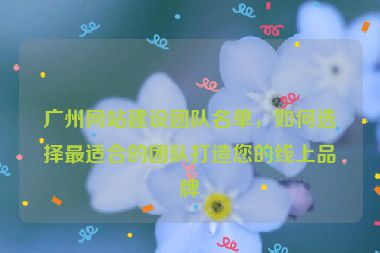 廣州網(wǎng)站建設(shè)團(tuán)隊(duì)名單，如何選擇最適合的團(tuán)隊(duì)打造您的線上品牌