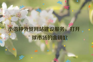 小語種外貿(mào)網(wǎng)站建設服務，打開全球市場的金鑰匙