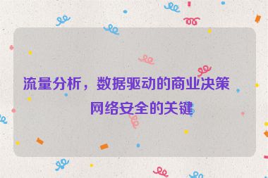 流量分析，數(shù)據(jù)驅(qū)動(dòng)的商業(yè)決策與網(wǎng)絡(luò)安全的關(guān)鍵