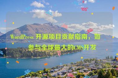 WordPress 開源項(xiàng)目貢獻(xiàn)指南，如何參與全球最大的CMS開發(fā)