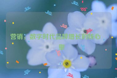 營銷，數字時代品牌增長的核心引擎