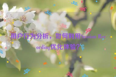 用戶行為分析，如何利用Session Recording優(yōu)化體驗(yàn)？