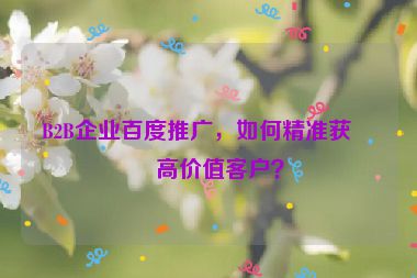 B2B企業(yè)百度推廣，如何精準(zhǔn)獲取高價(jià)值客戶？