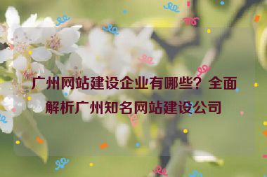 廣州網(wǎng)站建設(shè)企業(yè)有哪些？全面解析廣州知名網(wǎng)站建設(shè)公司