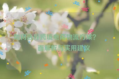 如何選擇跨境電商物流方案？全面解析與實用建議