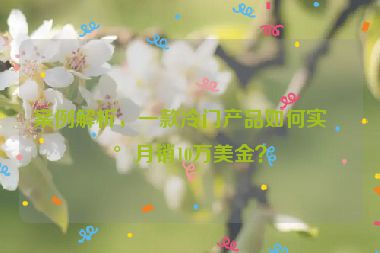 案例解析，一款冷門產(chǎn)品如何實現(xiàn)月銷10萬美金？