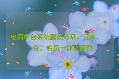 電商中臺(tái)系統(tǒng)建設(shè)方案，訂單、庫(kù)存、會(huì)員一體化管理