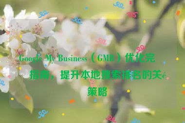 Google My Business（GMB）優(yōu)化完整指南，提升本地搜索排名的關(guān)鍵策略