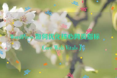 WordPress 如何優(yōu)化核心網(wǎng)頁指標(biāo)（Core Web Vitals）