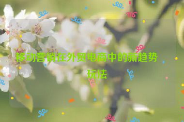 移動(dòng)營(yíng)銷在外貿(mào)電商中的新趨勢(shì)與玩法