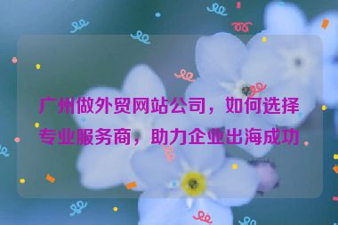 廣州做外貿(mào)網(wǎng)站公司，如何選擇專業(yè)服務商，助力企業(yè)出海成功