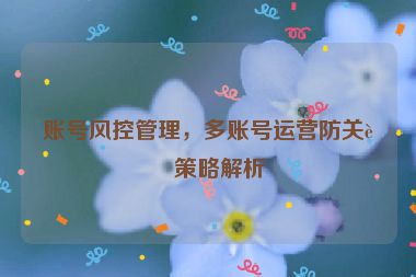 賬號(hào)風(fēng)控管理，多賬號(hào)運(yùn)營(yíng)防關(guān)聯(lián)策略解析
