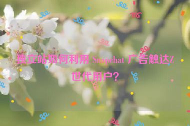 獨(dú)立站如何利用 Snapchat 廣告觸達(dá)Z世代用戶(hù)？