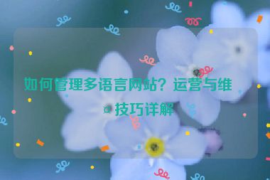 如何管理多語言網(wǎng)站？運營與維護技巧詳解