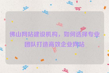 佛山網(wǎng)站建設(shè)機(jī)構(gòu)，如何選擇專業(yè)團(tuán)隊(duì)打造高效企業(yè)網(wǎng)站