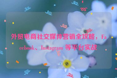 外貿(mào)電商社交媒體營(yíng)銷全攻略，F(xiàn)acebook、Instagram 等平臺(tái)實(shí)戰(zhàn)