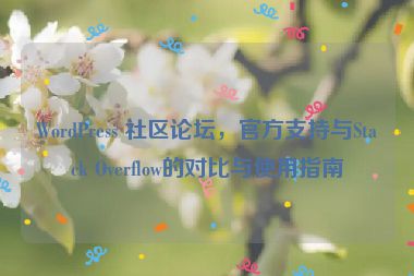 WordPress 社區(qū)論壇，官方支持與Stack Overflow的對比與使用指南