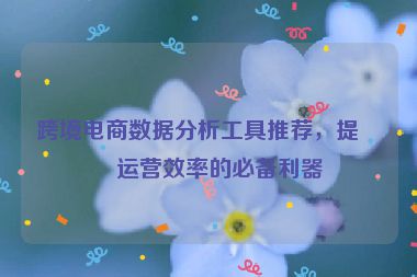 跨境電商數(shù)據(jù)分析工具推薦，提升運(yùn)營效率的必備利器