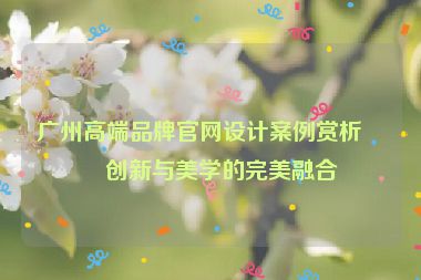 廣州高端品牌官網(wǎng)設(shè)計案例賞析，創(chuàng)新與美學(xué)的完美融合