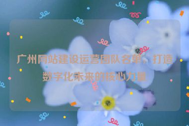 廣州網(wǎng)站建設(shè)運營團隊名單，打造數(shù)字化未來的核心力量