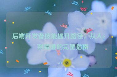 后端開發(fā)者技能提升路徑，從入門到精通的完整指南