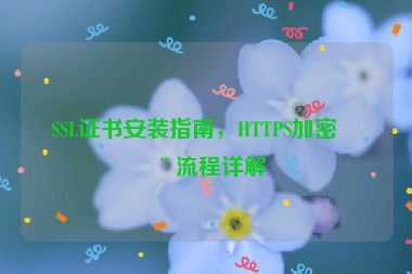 SSL證書安裝指南，HTTPS加密全流程詳解