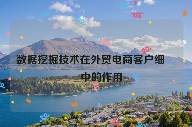 數(shù)據(jù)挖掘技術(shù)在外貿(mào)電商客戶細(xì)分中的作用