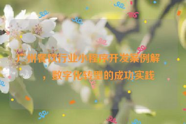 廣州餐飲行業(yè)小程序開發(fā)案例解析，數(shù)字化轉(zhuǎn)型的成功實踐