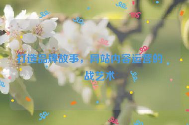 打造品牌故事，網(wǎng)站內(nèi)容運營的實戰(zhàn)藝術