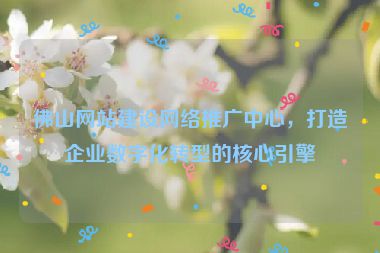 佛山網(wǎng)站建設網(wǎng)絡推廣中心，打造企業(yè)數(shù)字化轉型的核心引擎