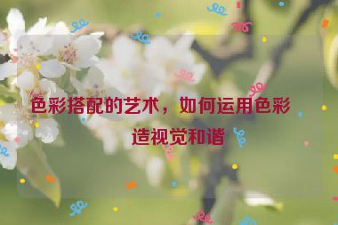 色彩搭配的藝術(shù)，如何運(yùn)用色彩創(chuàng)造視覺和諧