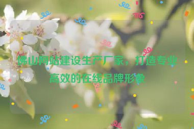 佛山網(wǎng)站建設(shè)生產(chǎn)廠家，打造專業(yè)高效的在線品牌形象