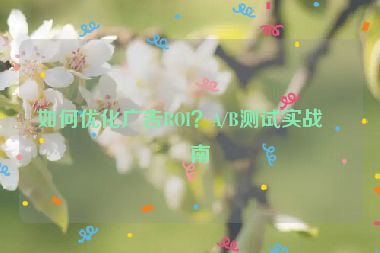 如何優(yōu)化廣告ROI？A/B測試實戰(zhàn)指南