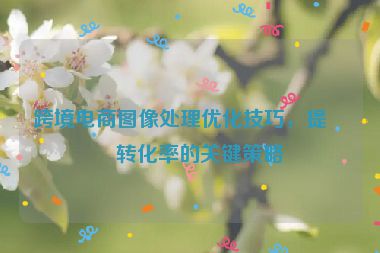 跨境電商圖像處理優(yōu)化技巧，提升轉(zhuǎn)化率的關(guān)鍵策略