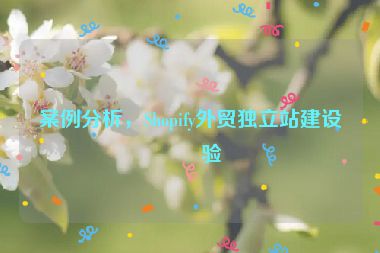 案例分析，Shopify外貿(mào)獨(dú)立站建設(shè)經(jīng)驗(yàn)