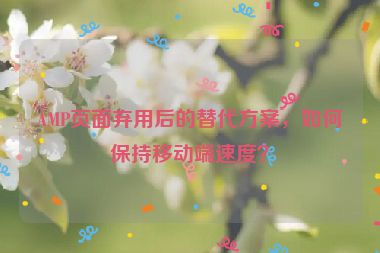 AMP頁面棄用后的替代方案，如何保持移動端速度？