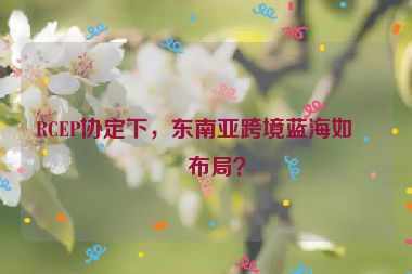 RCEP協(xié)定下，東南亞跨境藍(lán)海如何布局？