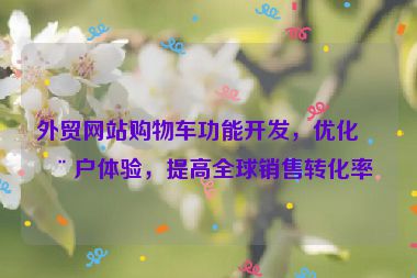 外貿(mào)網(wǎng)站購物車功能開發(fā)，優(yōu)化用戶體驗(yàn)，提高全球銷售轉(zhuǎn)化率