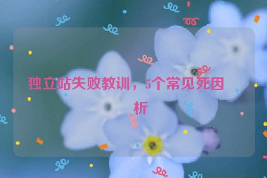 獨立站失敗教訓(xùn)，5個常見死因分析