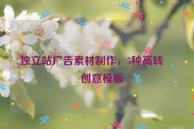 獨(dú)立站廣告素材制作，5種高轉(zhuǎn)化創(chuàng)意模板