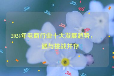2024年電商行業(yè)十大發(fā)展趨勢(shì)，機(jī)遇與挑戰(zhàn)并存